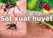 PHÒNG CHỐNG BỆNH SỐT XUẤT HUYẾT